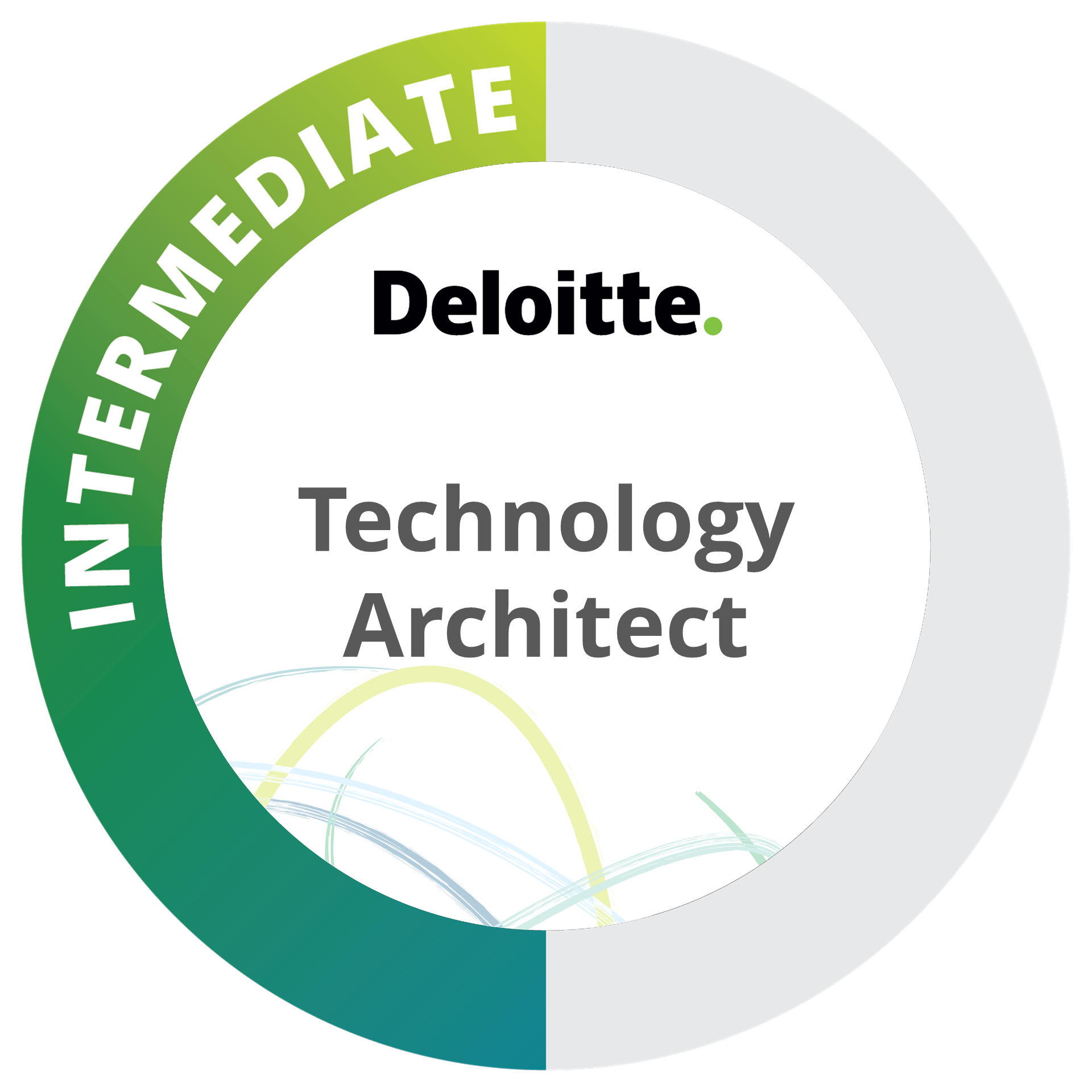 Technology Architect